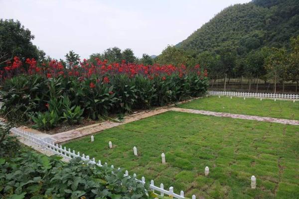农村生活污水1.jpg