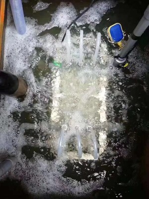 污水案例.jpg