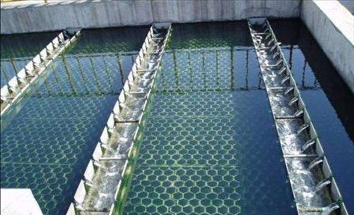生物膜法.jpg