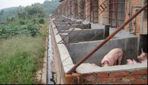 养猪场废水的处理方法和工艺.jpg 养猪场废水的处理方法和工艺.jpg